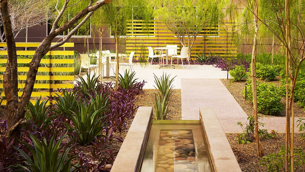 A patio with trees and plants.