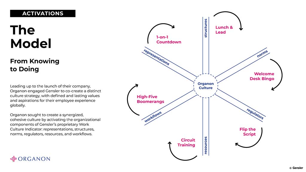 Organon The Model graphic