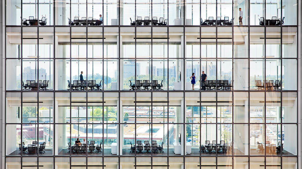 Government tenant windows