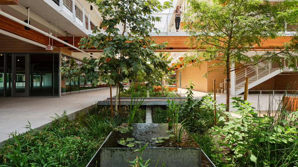 A courtyard with trees and plants.